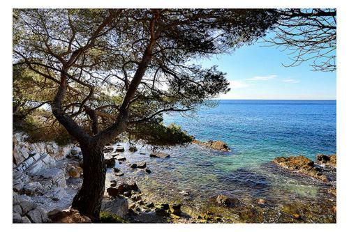 Suquet26 Apartment Cannes Bagian luar foto
